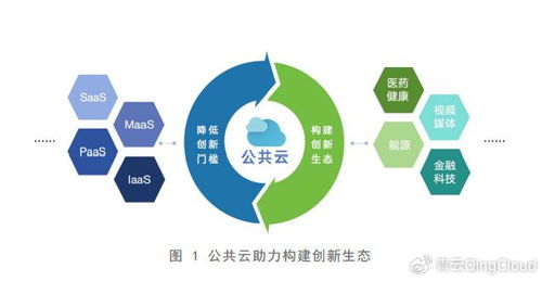 人工智能時代 公共云如何驅動數智化轉型與人工智能應用軟件開發(fā)